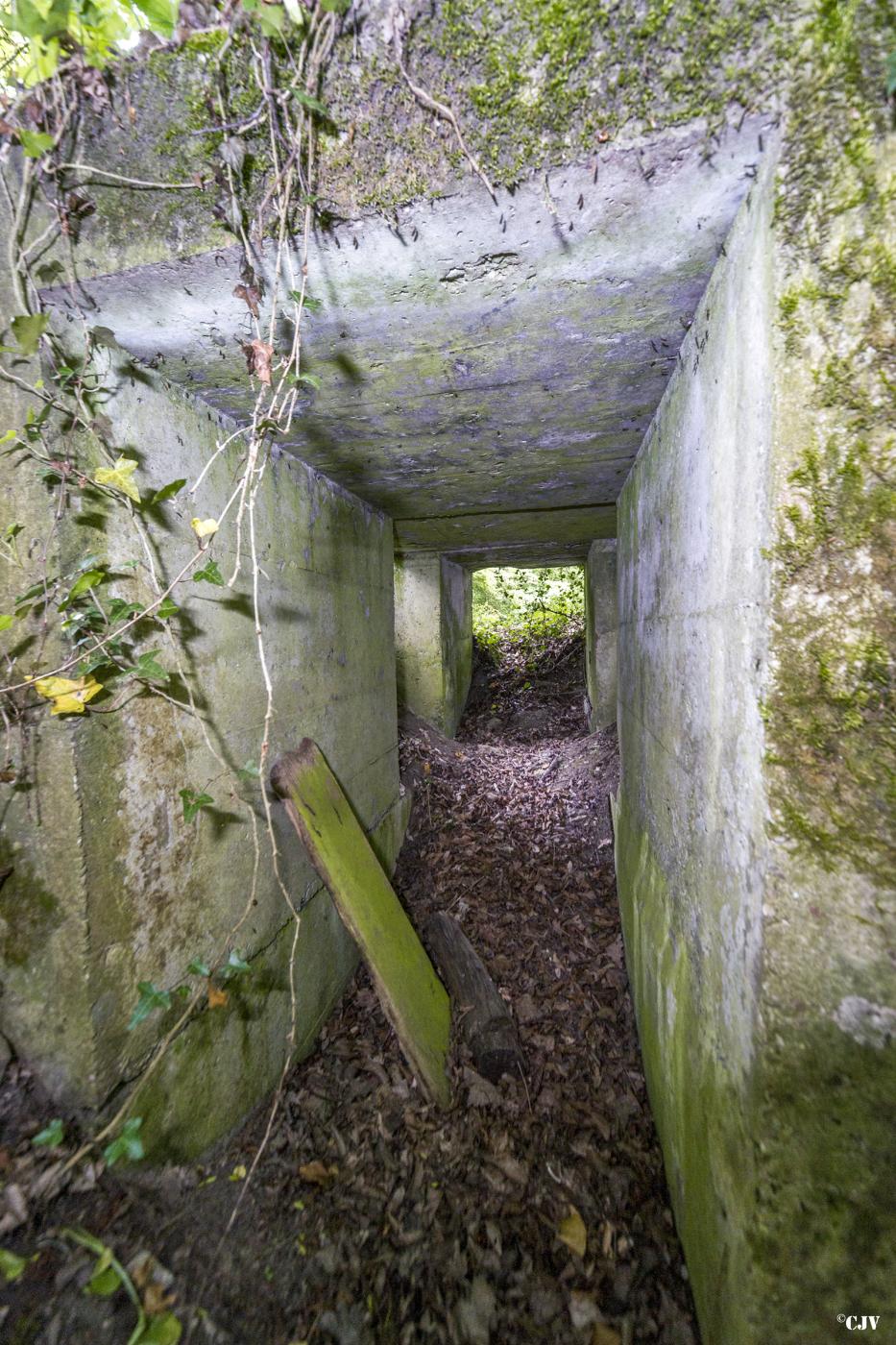 Ligne Maginot - ROUTE DE L'HIMERTEN NORD - (Blockhaus pour arme infanterie) -  - Lia VERMEULEN