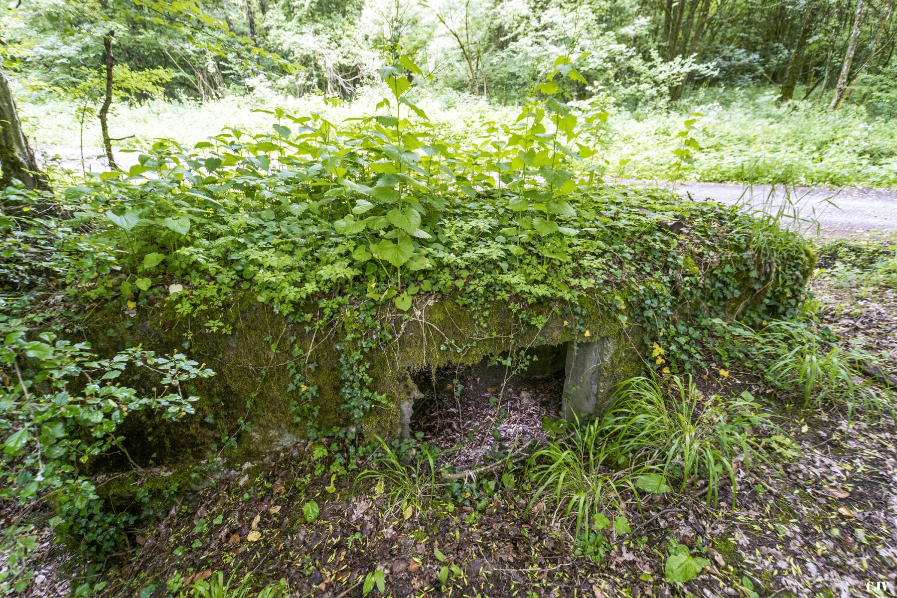 Ligne Maginot - ROUTE DE L'HIMERTEN NORD - (Blockhaus pour arme infanterie) -  - Lia VERMEULEN