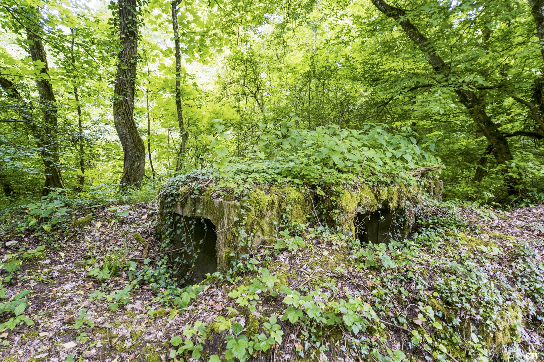 Ligne Maginot - ROUTE DE L'HIMERTEN NORD - (Blockhaus pour arme infanterie) -  - Lia VERMEULEN