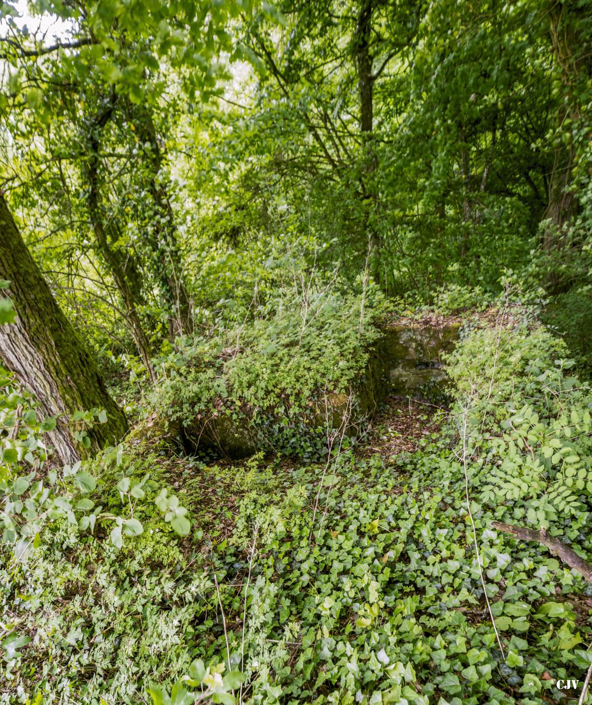 Ligne Maginot - ROUTE DE L'HIMERTEN SUD - (Blockhaus pour arme infanterie) -  - Lia VERMEULEN