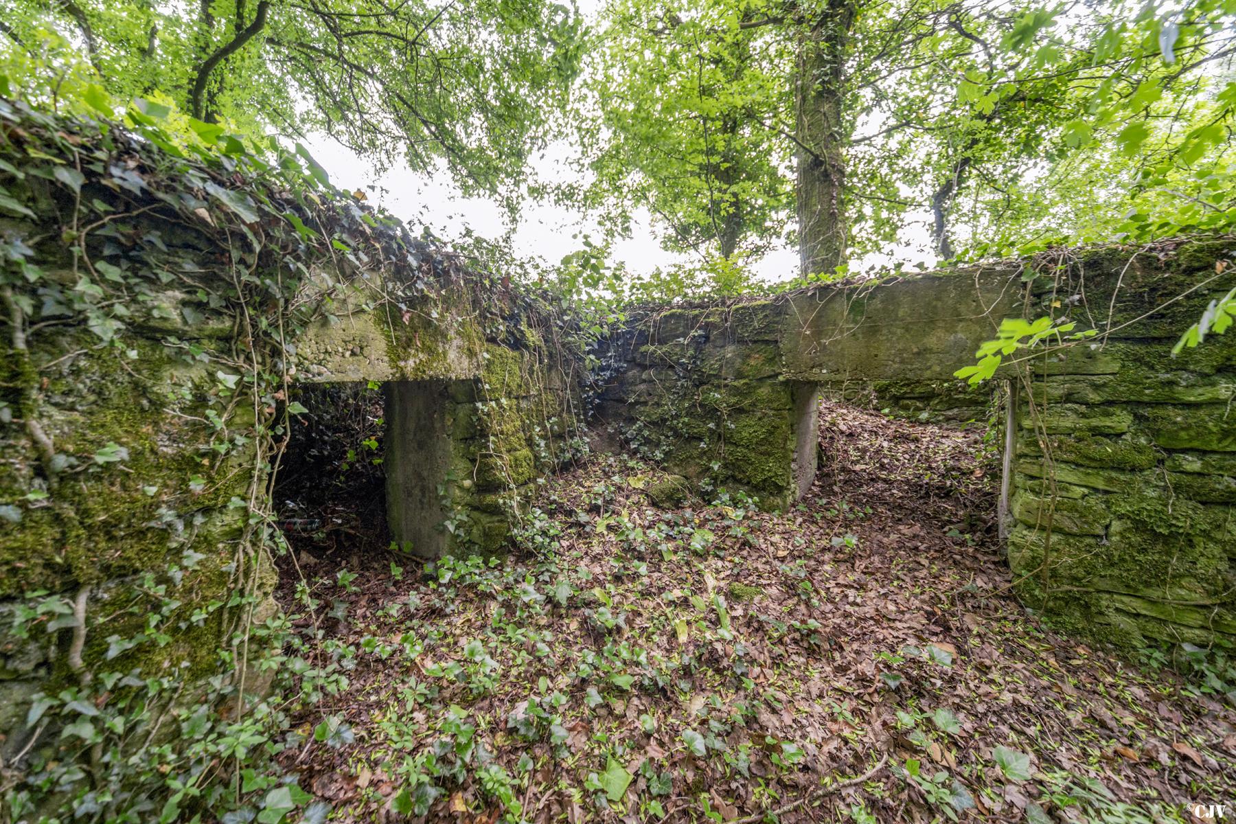Ligne Maginot - ROUTE DE L'HIMERTEN SUD - (Blockhaus pour arme infanterie) -  - Lia VERMEULEN