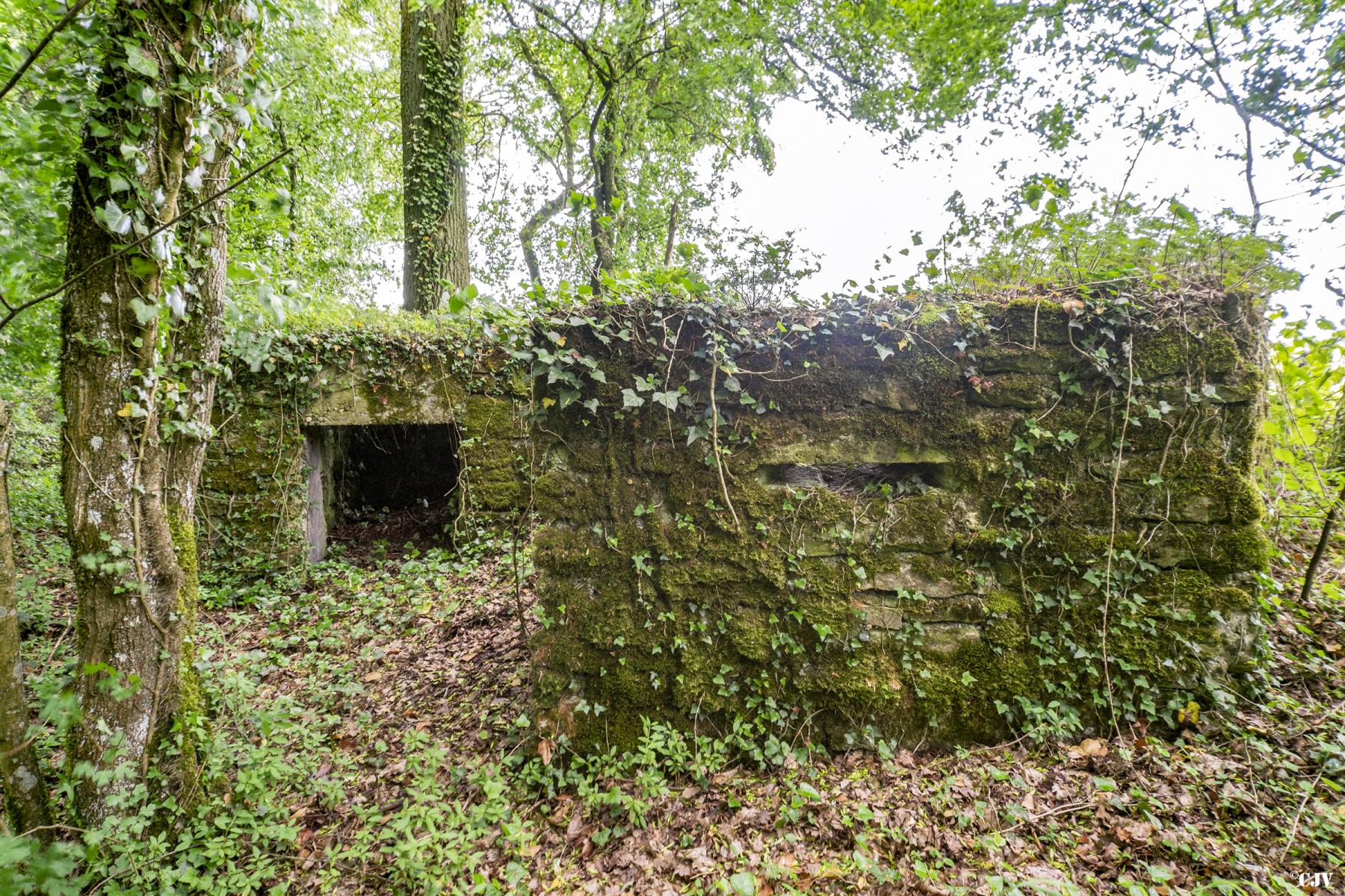 Ligne Maginot - ROUTE DE L'HIMERTEN SUD - (Blockhaus pour arme infanterie) -  - Lia VERMEULEN