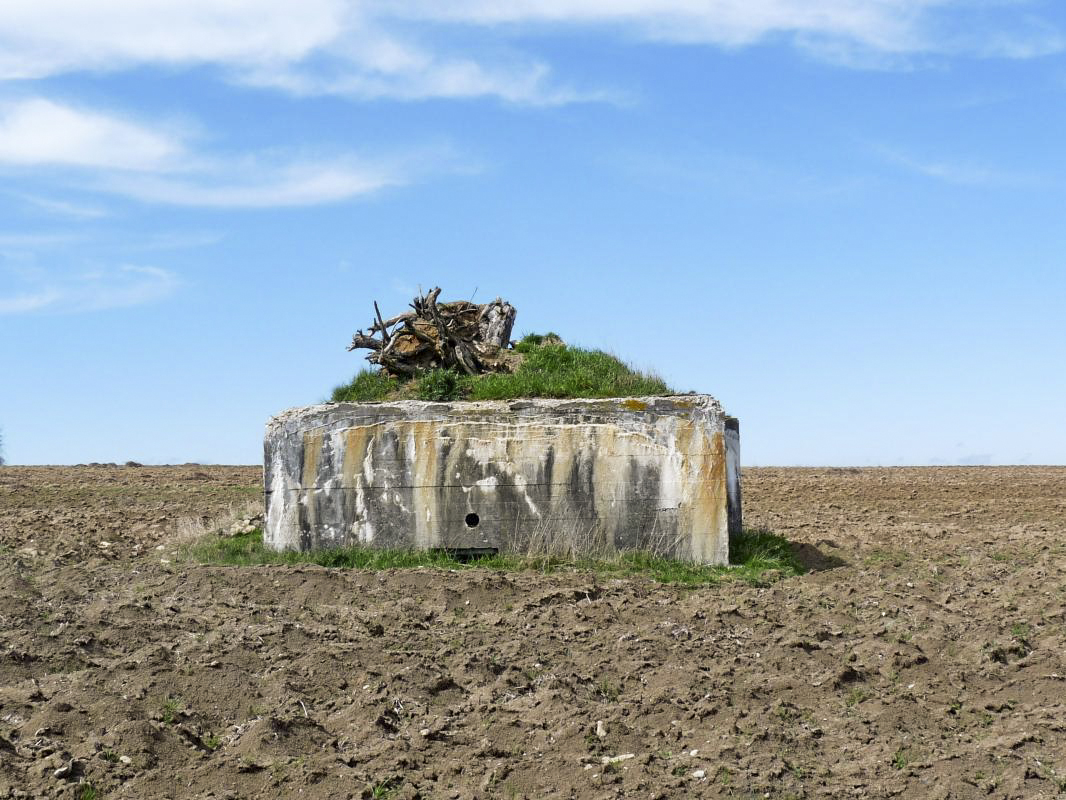 Ligne Maginot - TATTENHOLZ 3 - (Blockhaus pour arme infanterie) -   - Sylvie Laure LAMBERT