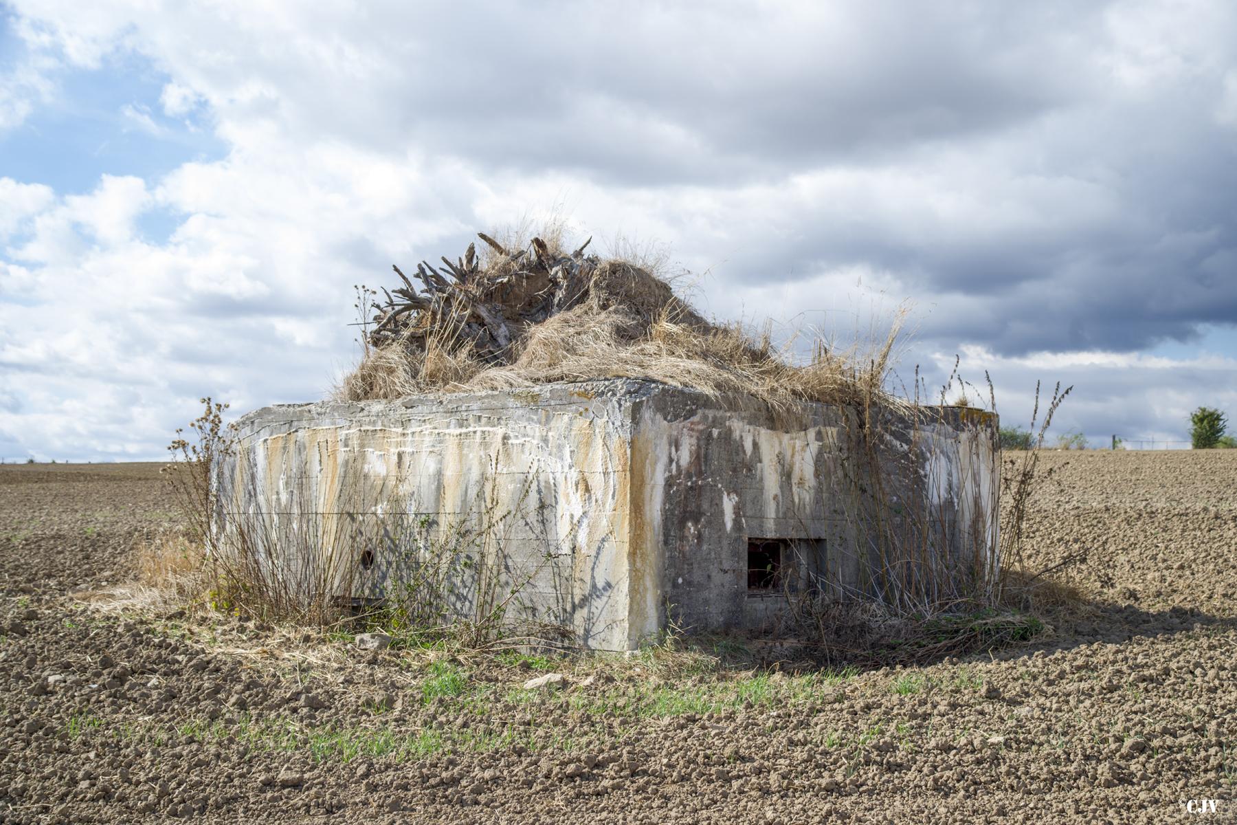 Ligne Maginot - TATTENHOLZ 3 - (Blockhaus pour arme infanterie) -  - Lia VERMEULEN