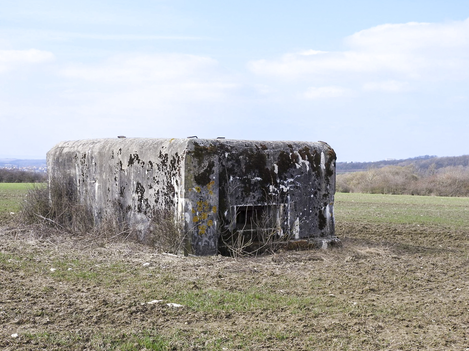 Ligne Maginot - WAELDSCHEN 1 - (Blockhaus pour arme infanterie) -  - STENGER Mathieu