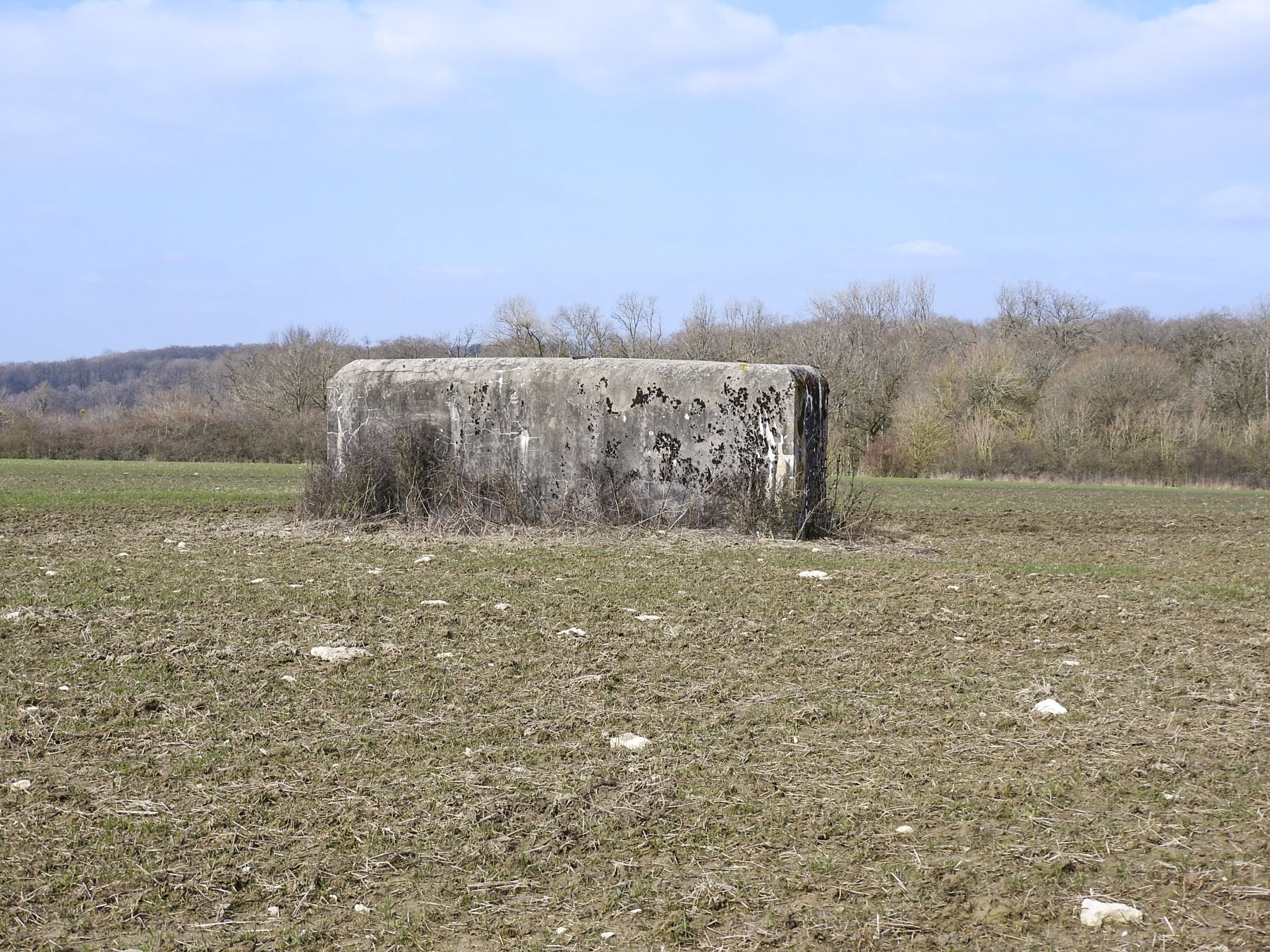 Ligne Maginot - WAELDSCHEN 1 - (Blockhaus pour arme infanterie) -  - STENGER Mathieu