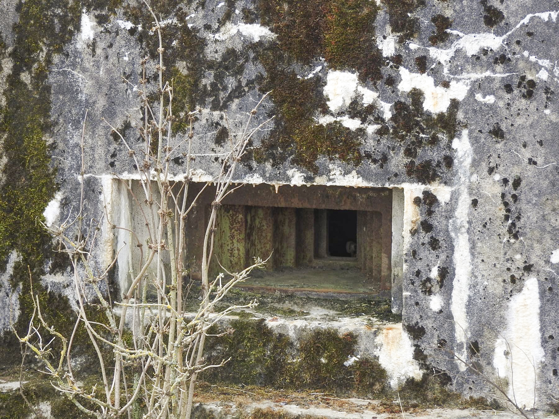 Ligne Maginot - WAELDSCHEN 1 - (Blockhaus pour arme infanterie) - L'embrasure pour mitrailleuse - STENGER Mathieu