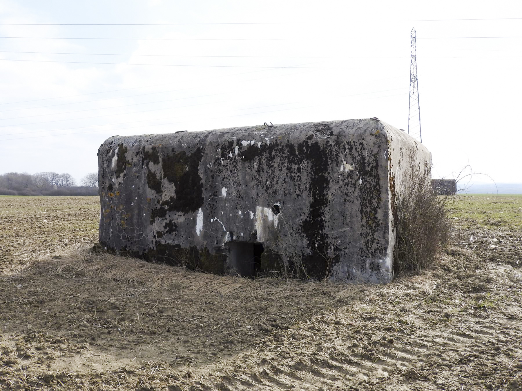 Ligne Maginot - WAELDSCHEN 1 - (Blockhaus pour arme infanterie) - La façade arrière avec l'entrée en partie remblayée - STENGER Mathieu