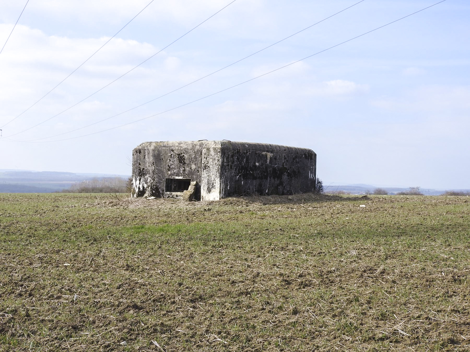 Ligne Maginot - WAELDSCHEN 2 - (Blockhaus pour arme infanterie) -  - STENGER Mathieu