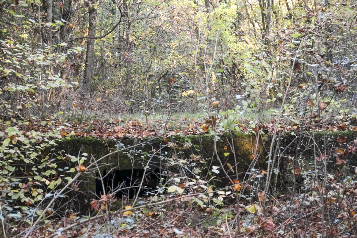 Ligne Maginot - TETING CAMP - (Camp de sureté) - Soubassement de bâtiment dans les broussailles. - JOLAS, Jean-Michel
