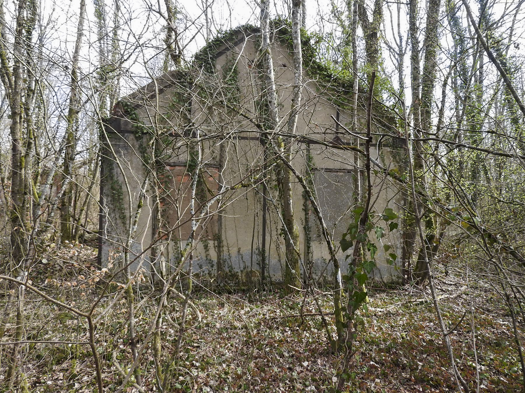 Ligne Maginot - TETING CAMP - (Camp de sureté) - Les ruines des baraquements - STENGER Mathieu