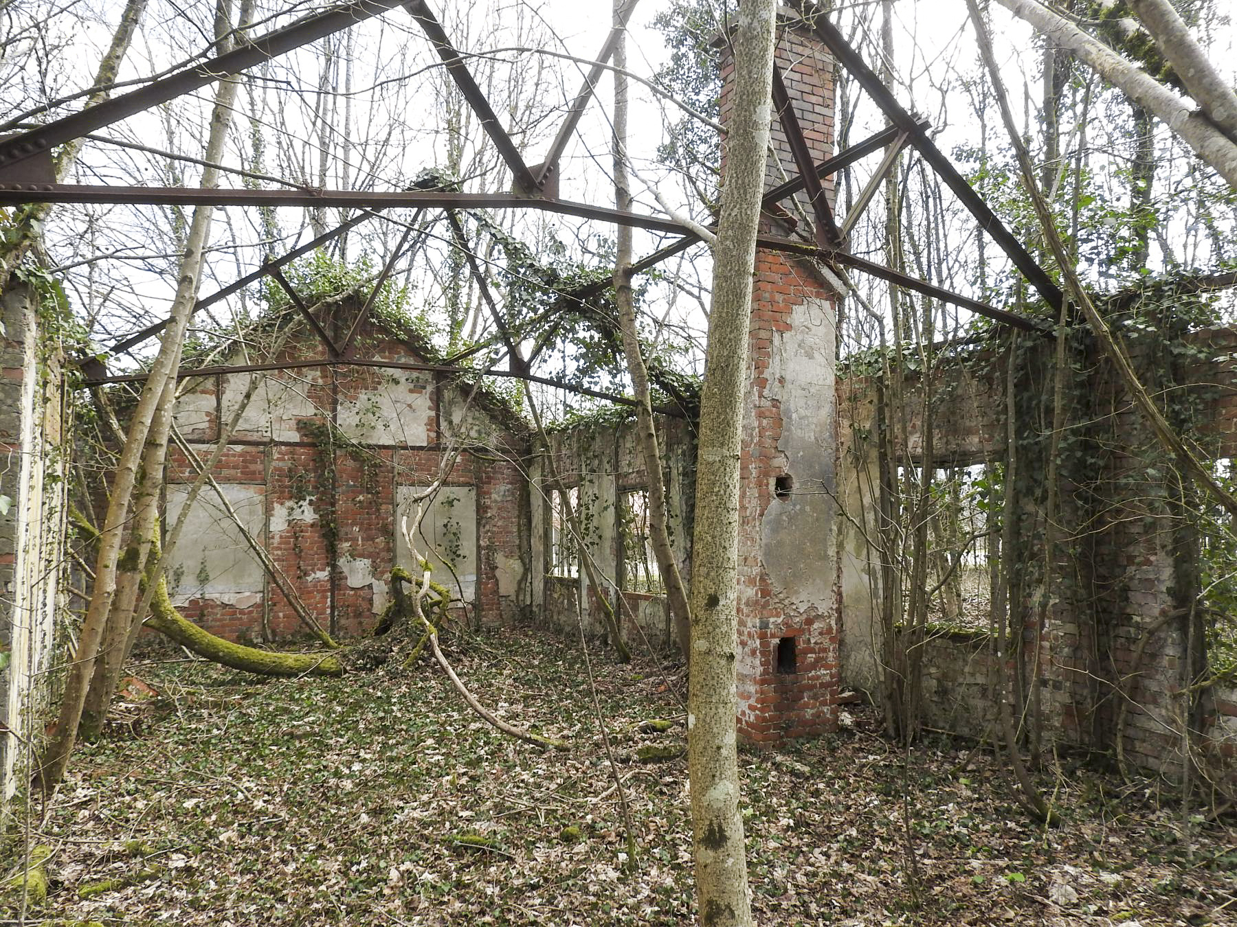 Ligne Maginot - TETING CAMP - (Camp de sureté) - Les ruines des baraquements - STENGER Mathieu