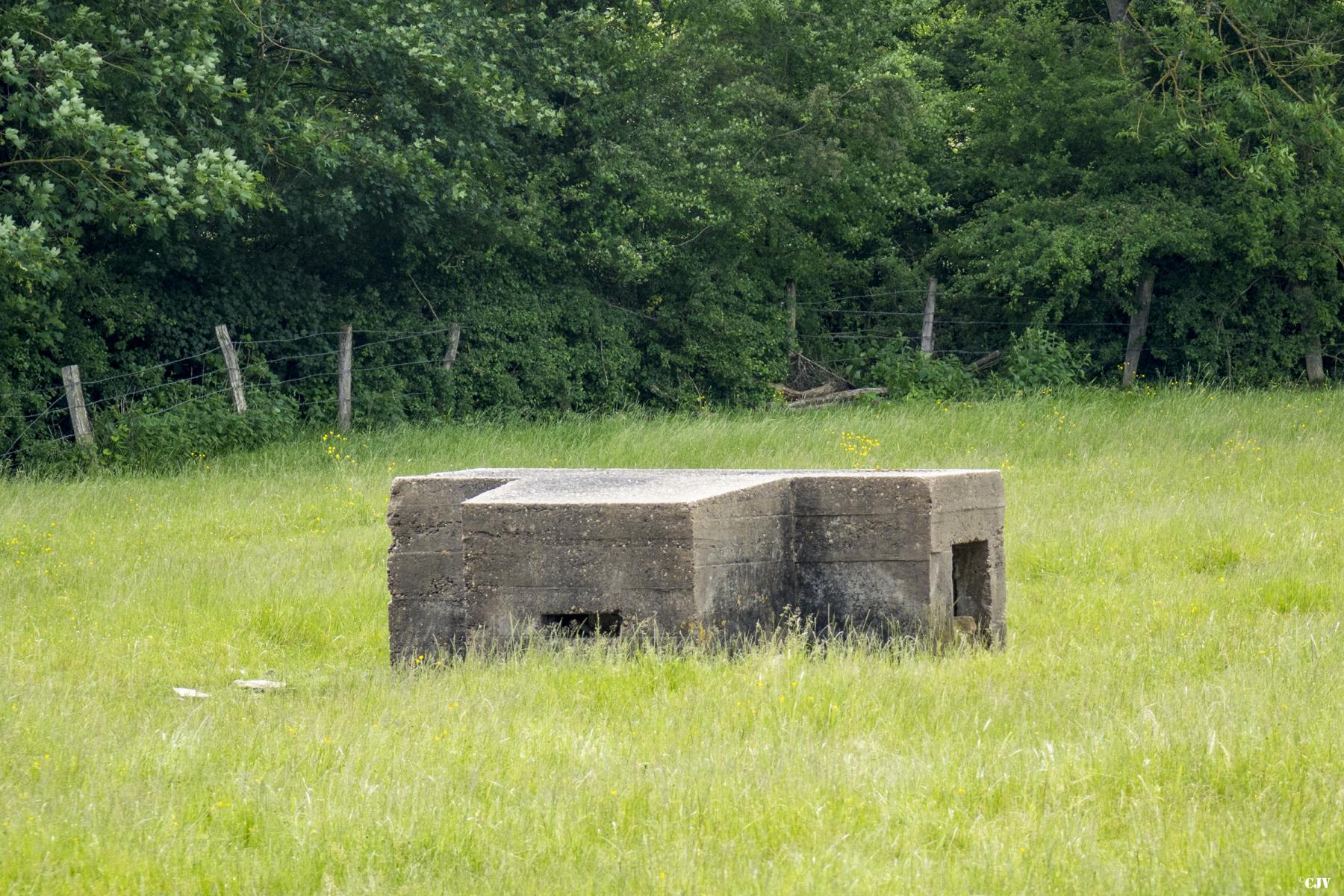 Ligne Maginot - TETING NORD 1 - (Blockhaus pour arme infanterie) -                    - Lia VERMEULEN