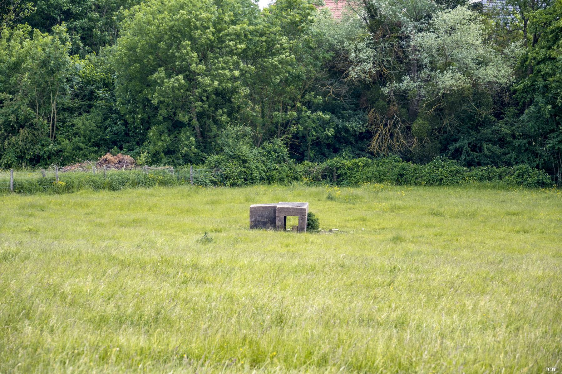 Ligne Maginot - TETING NORD 1 - (Blockhaus pour arme infanterie) -                   - Lia VERMEULEN