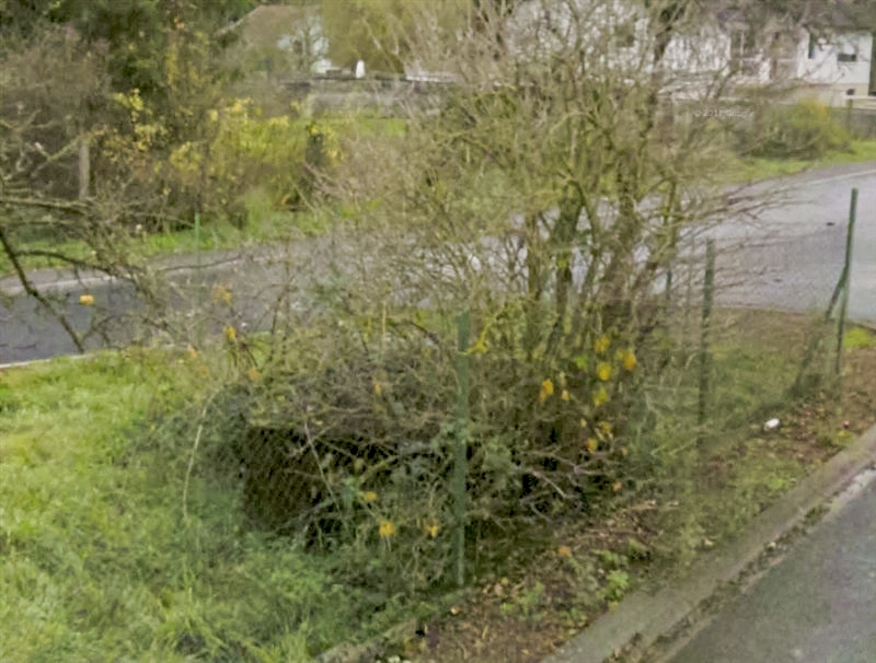 Ligne Maginot - TETING NORD 2 - (Blockhaus pour arme infanterie) -  - Google Streetview 2011