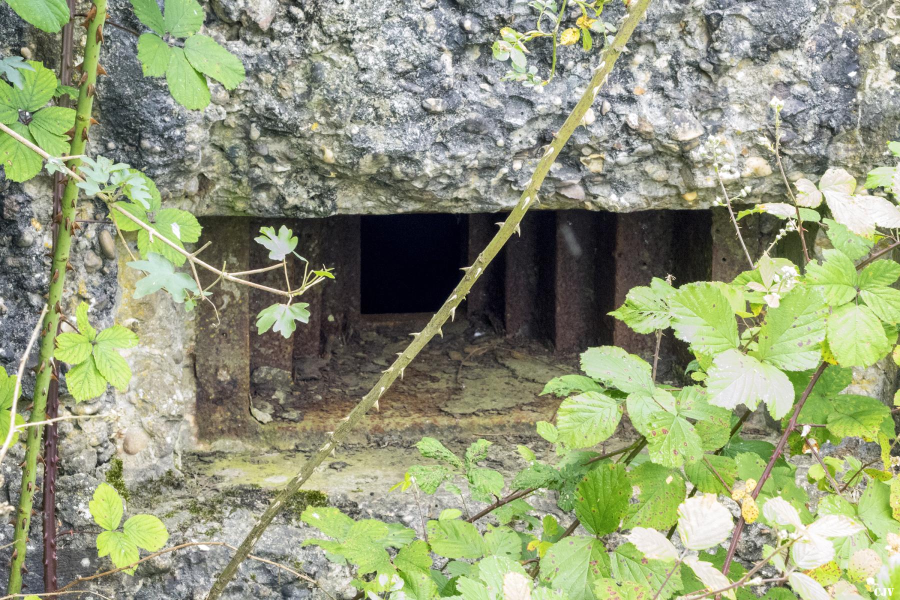 Ligne Maginot - AHTWINKEL NORD - (Blockhaus pour arme infanterie) -               - Lia VERMEULEN