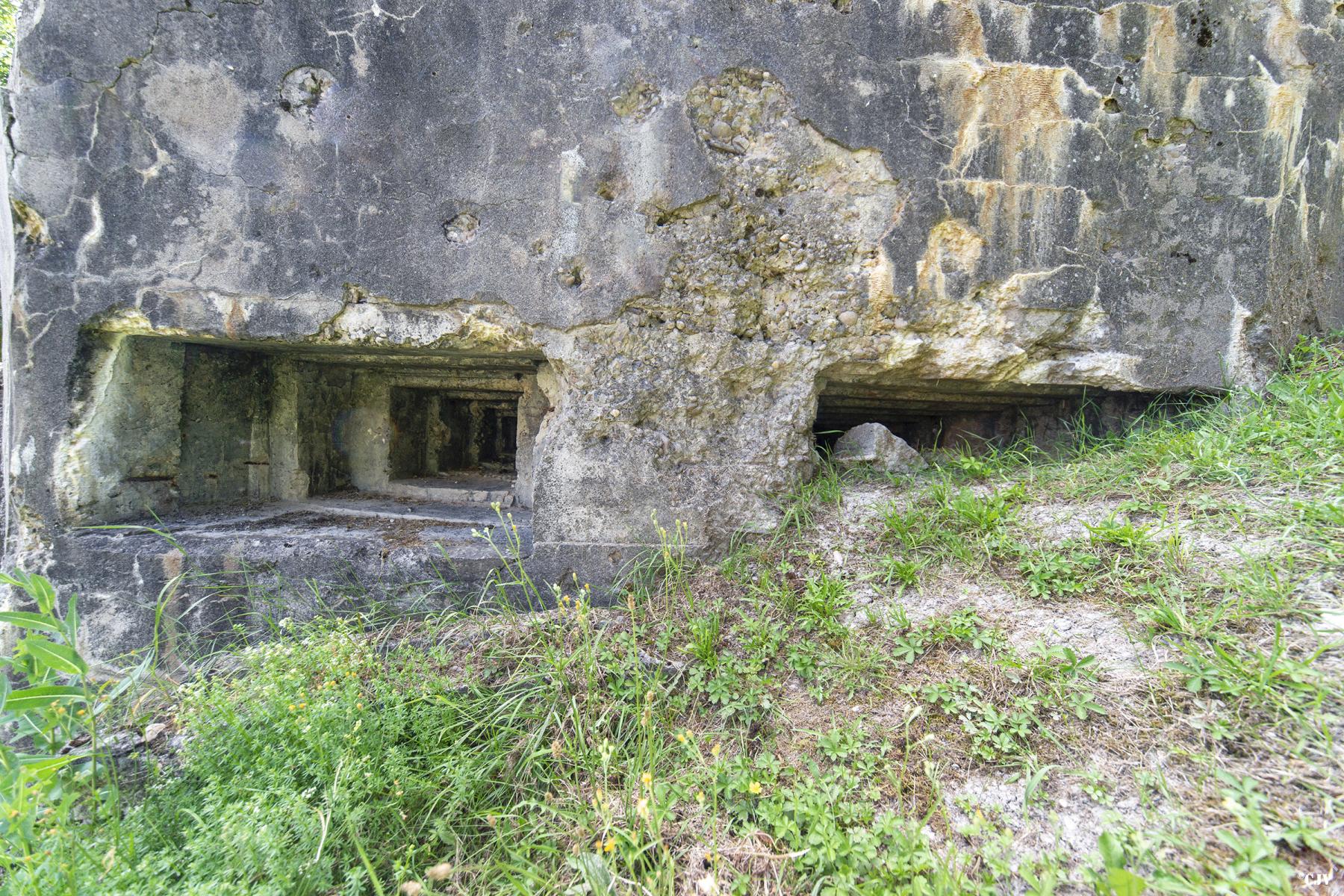 Ligne Maginot - ALTVILLER 1 - (Blockhaus pour arme infanterie) -  - Lia VERMEULEN