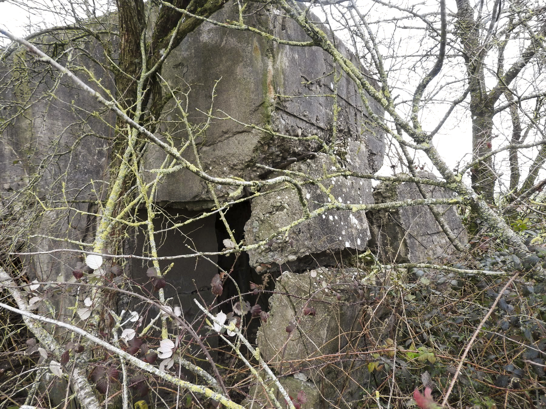 Ligne Maginot - BLANKHECK - (Blockhaus pour arme infanterie) - L'entrée est aussi en partie détruite. - STENGER Mathieu