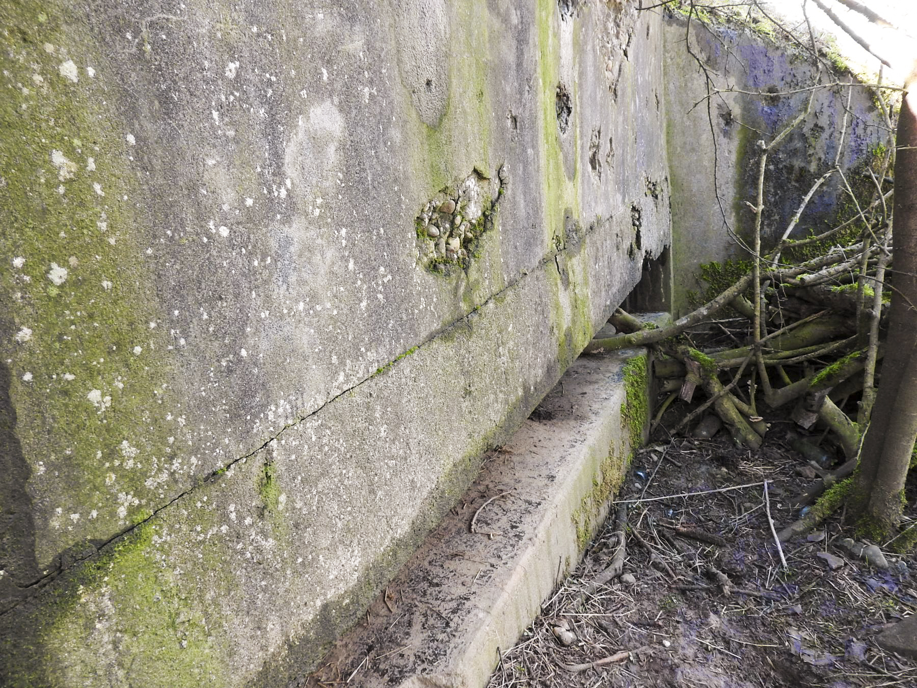 Ligne Maginot - C7B - LES CHATS 2 - (Blockhaus pour canon) - La façade de tir encore visible. - STENGER Mathieu