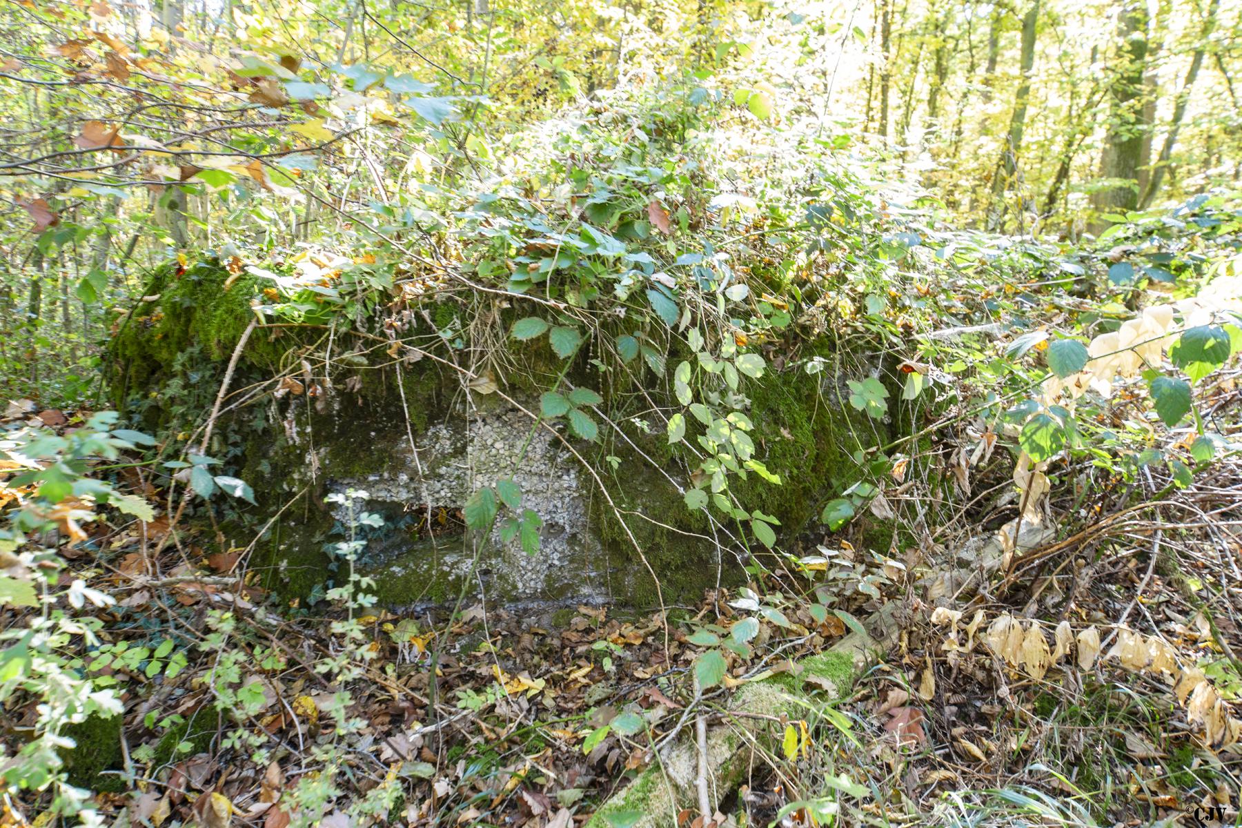 Ligne Maginot - HENRIVILLE 1 (AVANT POSTE) - (Blockhaus pour arme infanterie) -   - Lia VERMEULEN