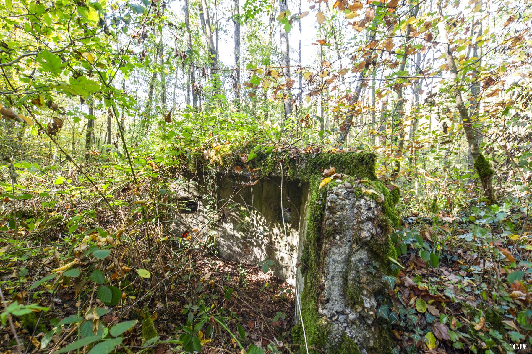 Ligne Maginot - HENRIVILLE 1 (AVANT POSTE) - (Blockhaus pour arme infanterie) -    - Lia VERMEULEN