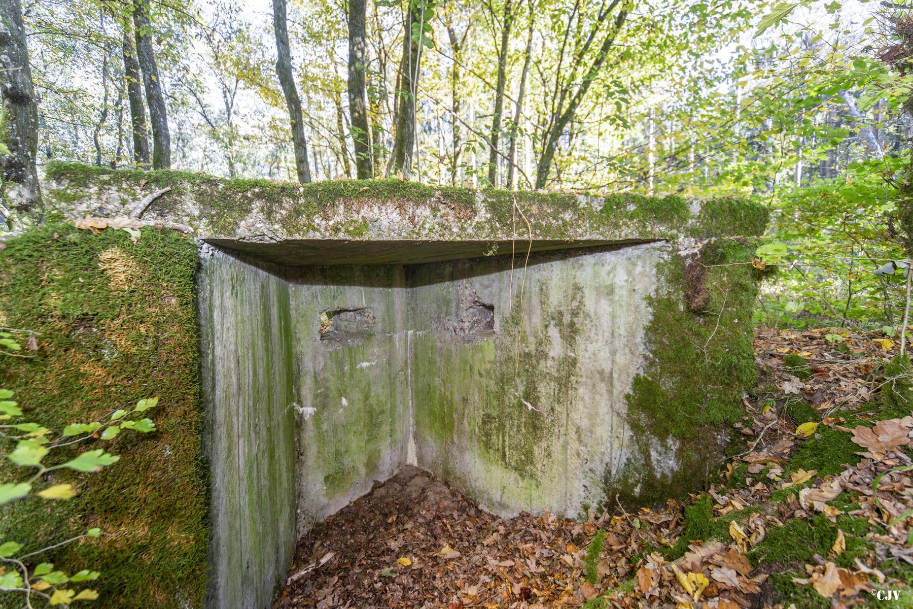 Ligne Maginot - HENRIVILLE 4 (AVANT POSTE) - (Blockhaus pour arme infanterie) -  - Lia VERMEULEN