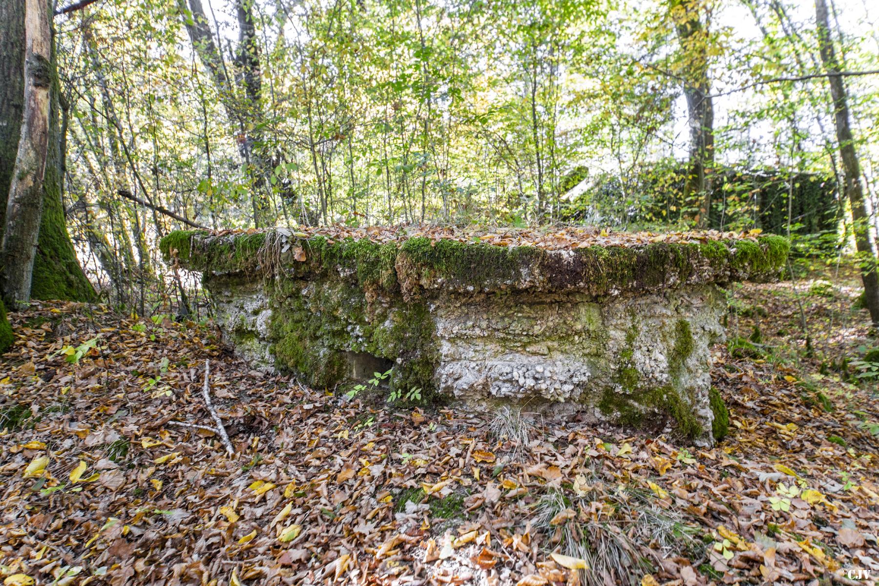 Ligne Maginot - HENRIVILLE 4 (AVANT POSTE) - (Blockhaus pour arme infanterie) -  - Lia VERMEULEN