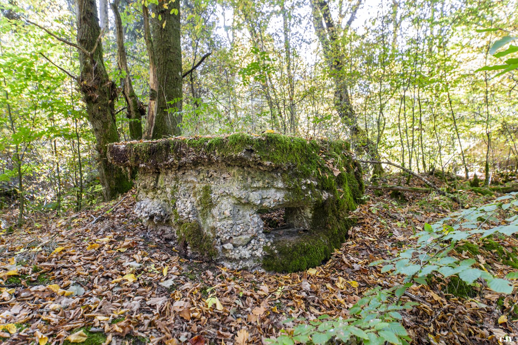 Ligne Maginot - HENRIVILLE 4 (AVANT POSTE) - (Blockhaus pour arme infanterie) -  - Lia VERMEULEN