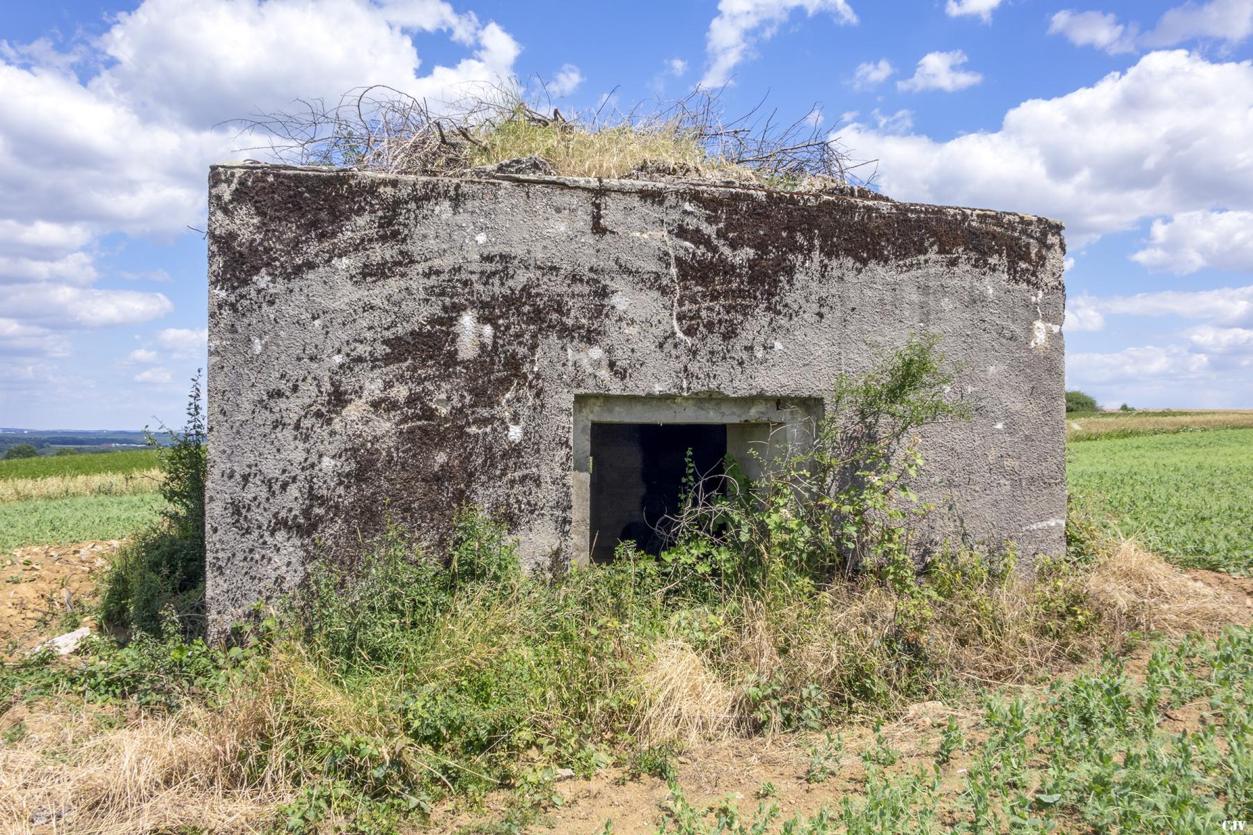 Ligne Maginot - HINTER STEINWEG 2 - (Blockhaus pour canon) -  - Lia VERMEULEN