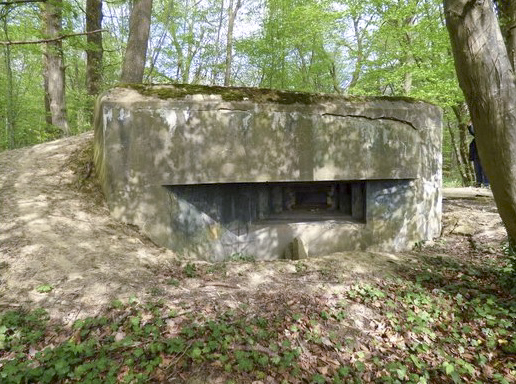 Ligne Maginot - LANING 1 - (Blockhaus pour arme infanterie) -  - AALMA - www.lignemaginot.com