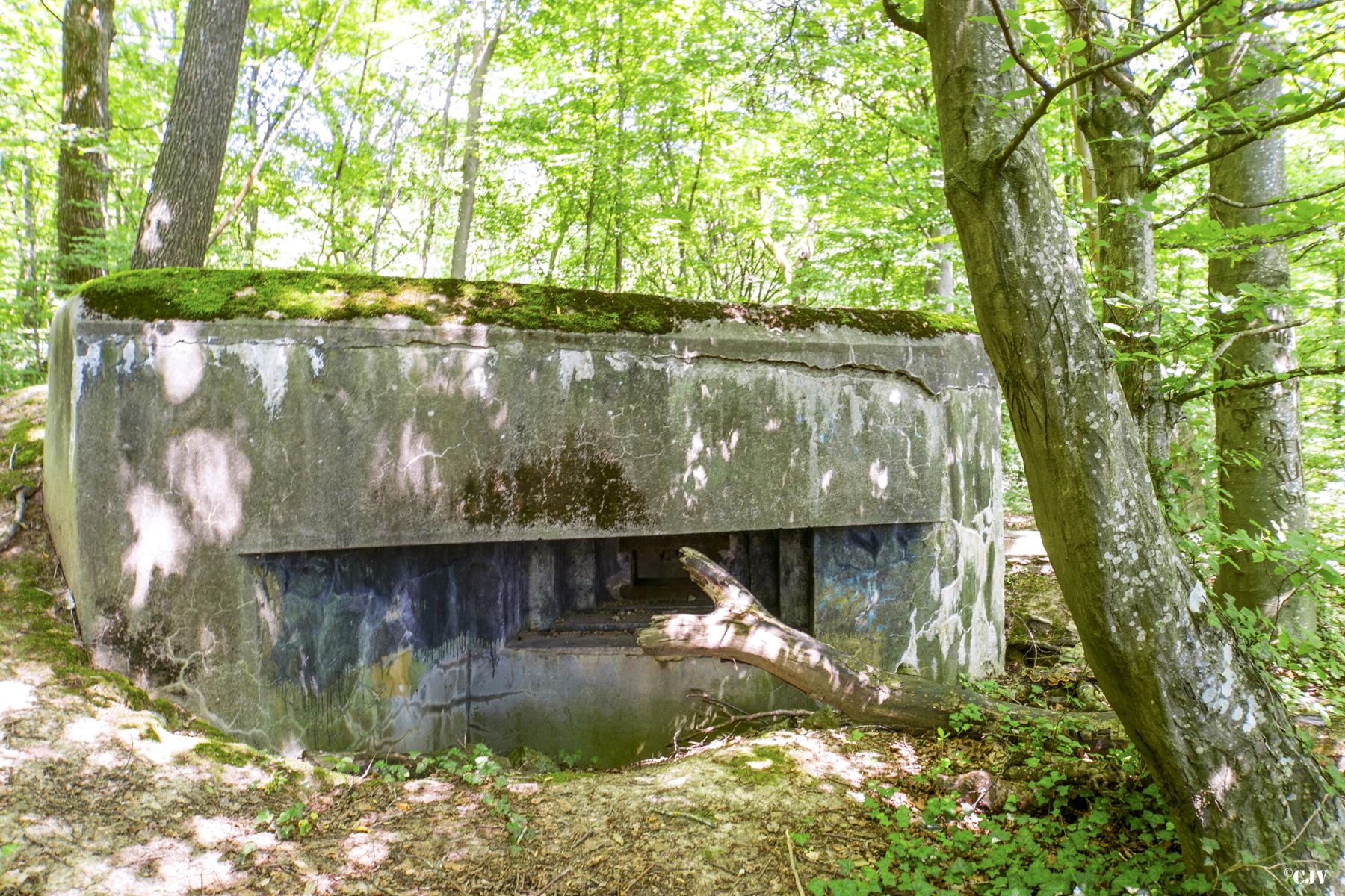 Ligne Maginot - LANING 1 - (Blockhaus pour arme infanterie) -  - Lia VERMEULEN