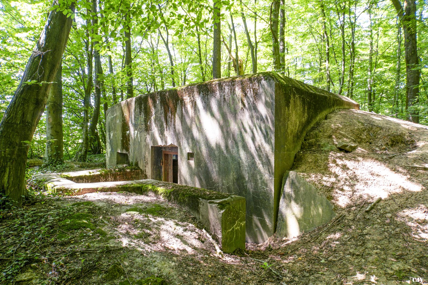 Ligne Maginot - LANING 1 - (Blockhaus pour arme infanterie) -  - Lia VERMEULEN