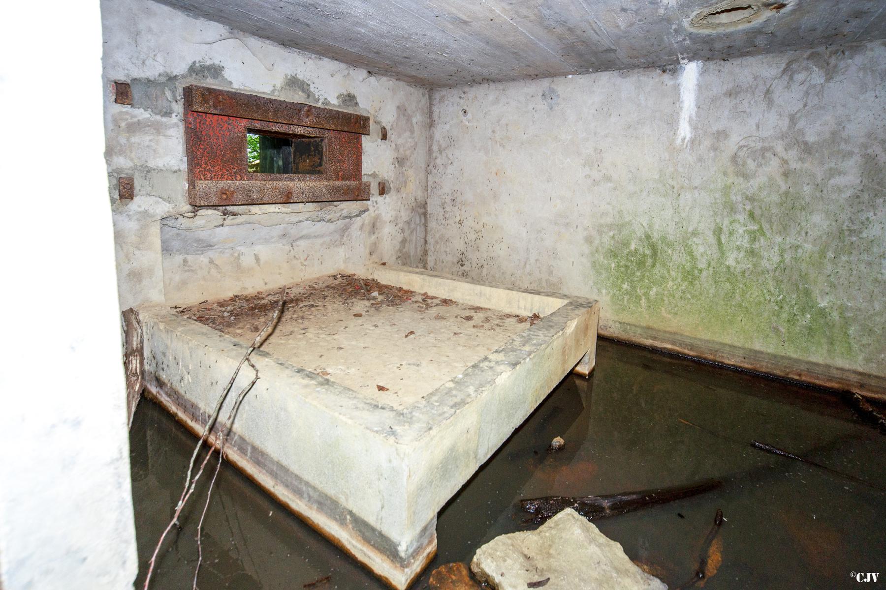 Ligne Maginot - LANING 1 - (Blockhaus pour arme infanterie) -  - Lia VERMEULEN