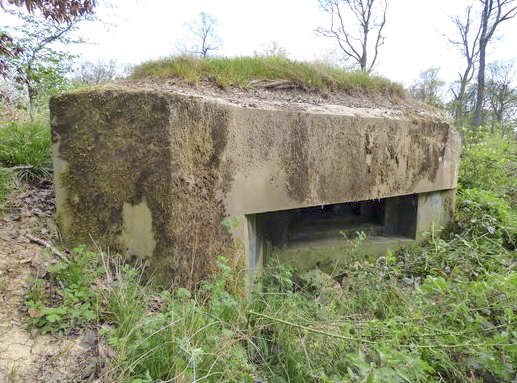 Ligne Maginot - LANING 2 - (Blockhaus pour arme infanterie) -  - AALMA - www.lignemaginot.com