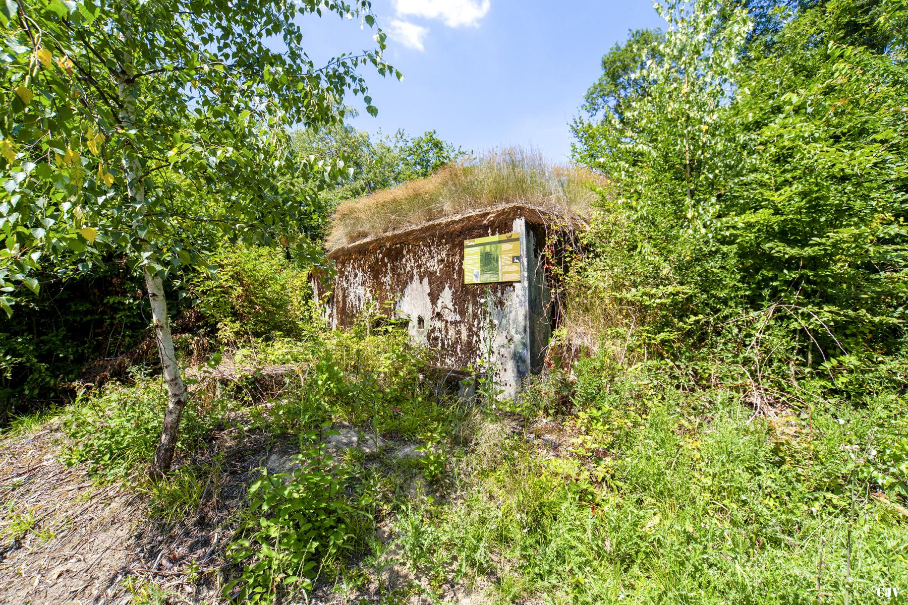 Ligne Maginot - LANING 2 - (Blockhaus pour arme infanterie) -          - Lia VERMEULEN