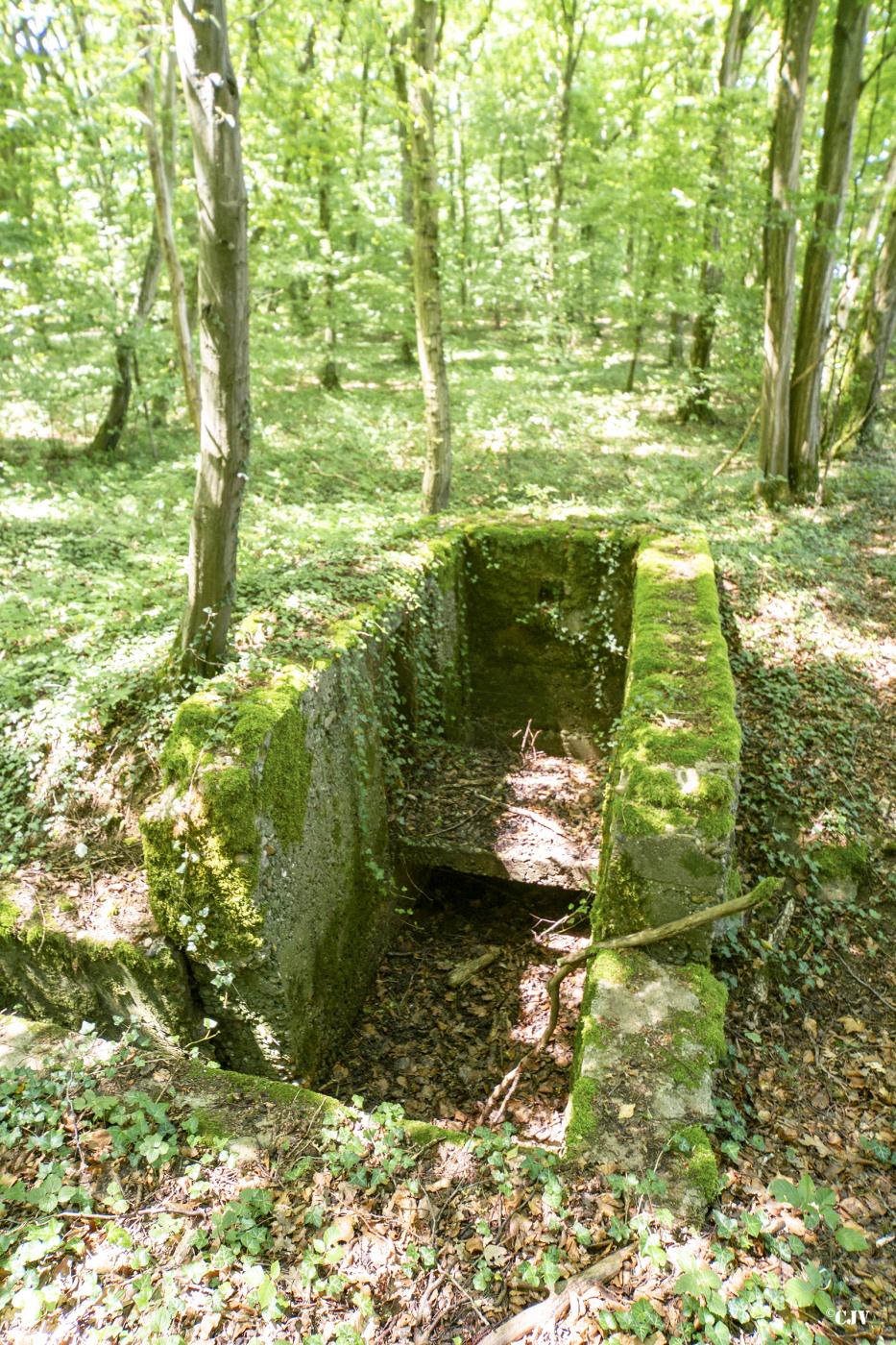 Ligne Maginot - LANING 3 - (Cuve pour arme d'infanterie) - Ce n'est pas beaucoup plus qu'un tranchée - Lia VERMEULEN