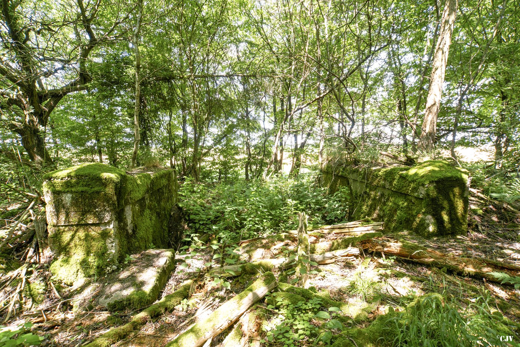 Ligne Maginot - LANING 5BIS - (Cuve pour canon) -       - Lia VERMEULEN