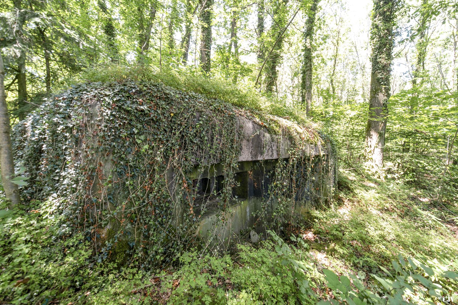 Ligne Maginot - LANING 6 - (Blockhaus pour arme infanterie) -  - Lia VERMEULEN