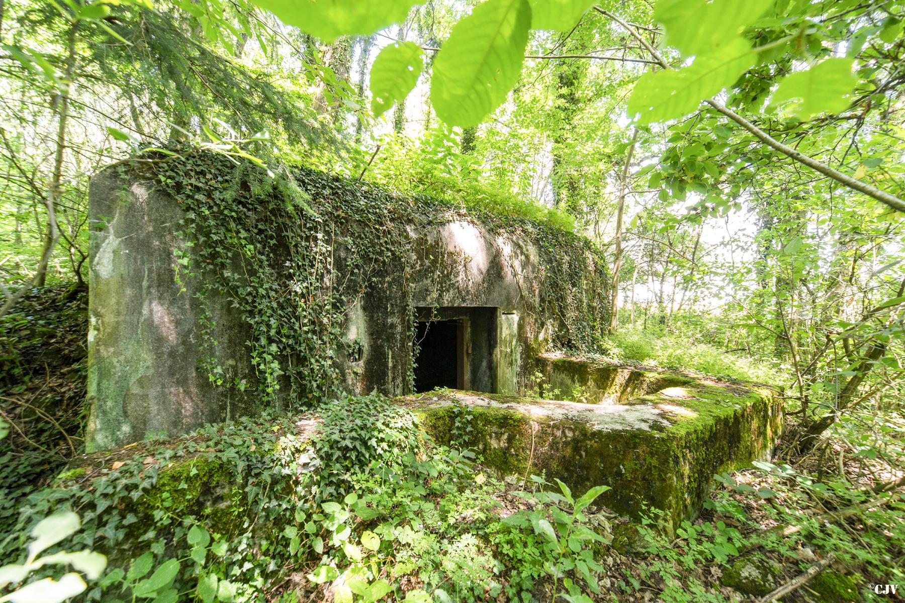 Ligne Maginot - LANING 6 - (Blockhaus pour arme infanterie) - L'entrée et la parapet - Lia VERMEULEN