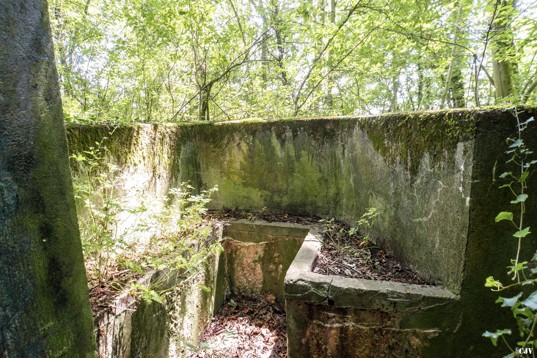 Ligne Maginot - LANING 6 - (Blockhaus pour arme infanterie) - Le parapet - Lia VERMEULEN