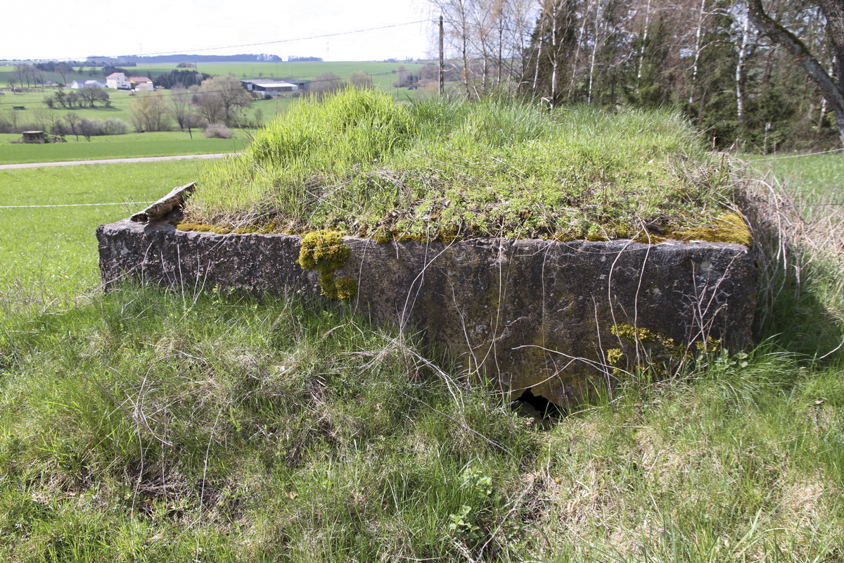 Ligne Maginot - LE 75 1 - (Blockhaus pour arme infanterie) -  - Alain Perouffe