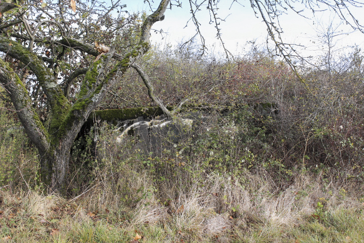 Ligne Maginot - LE BOUT 5 - (Blockhaus pour arme infanterie) - Le Bout 5 disparaît lentement, envahi par des haies - jin jac