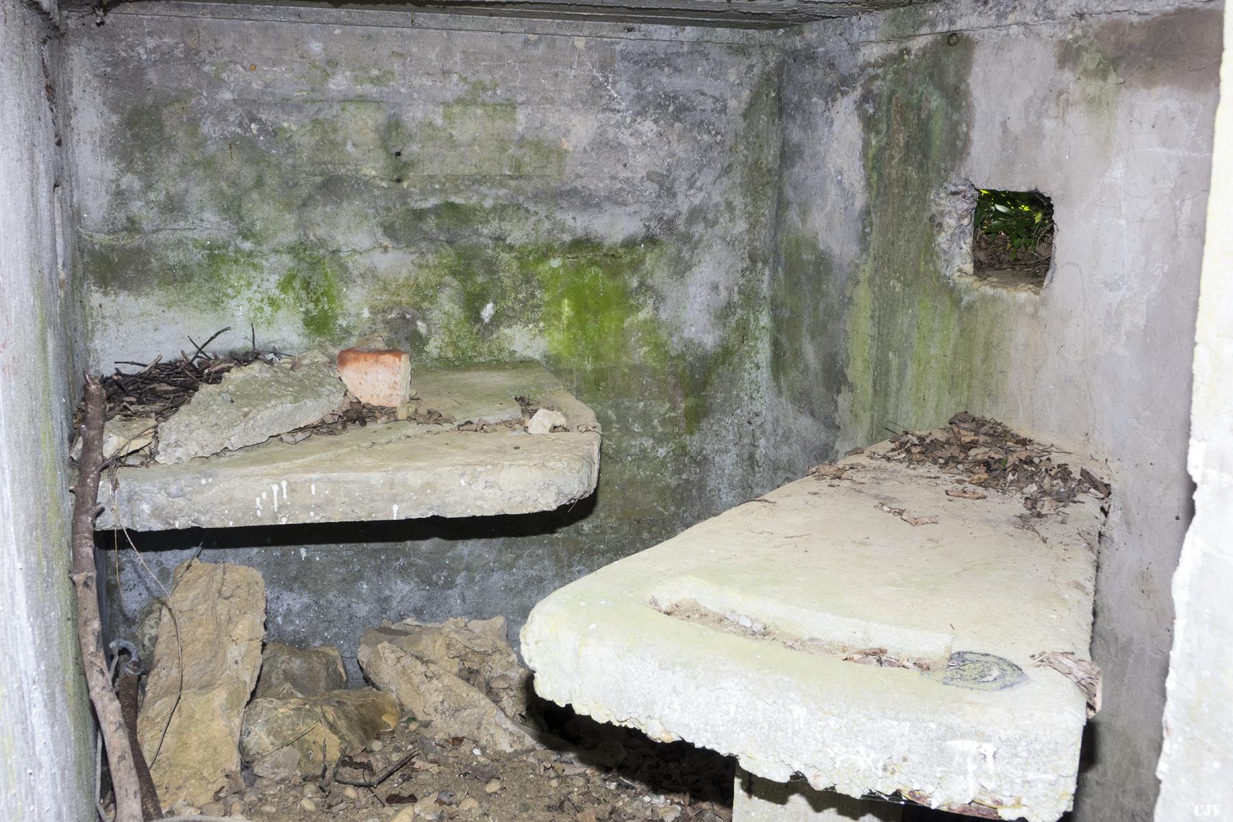 Ligne Maginot - LES CHATS 3 - (Blockhaus pour arme infanterie) -  - Lia VERMEULEN
