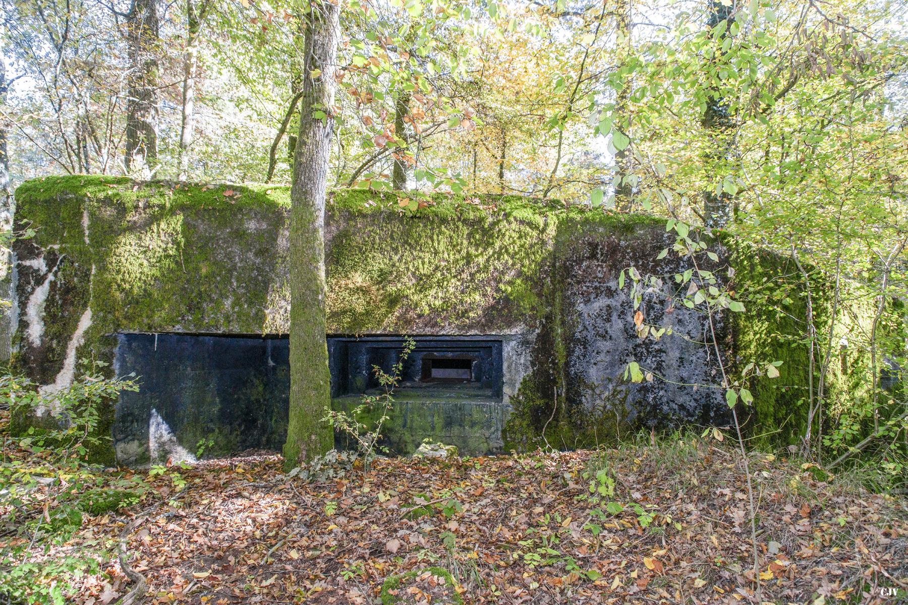 Ligne Maginot - M5B - HENRIVILLE 2 (AVANT POSTE) - (Blockhaus pour arme infanterie) -  - Lia VERMEULEN