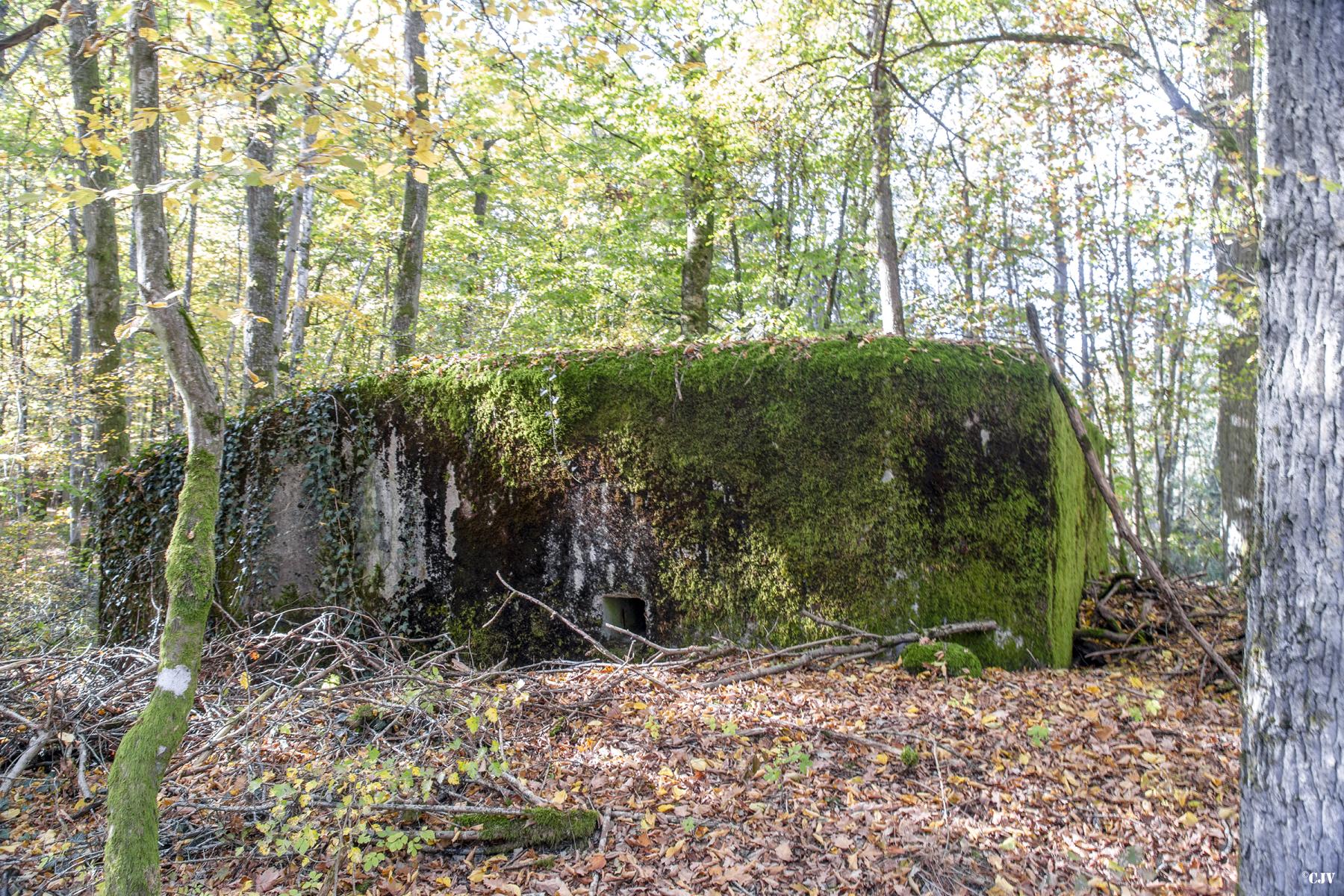 Ligne Maginot - M5B - HENRIVILLE 2 (AVANT POSTE) - (Blockhaus pour arme infanterie) -  - Lia VERMEULEN