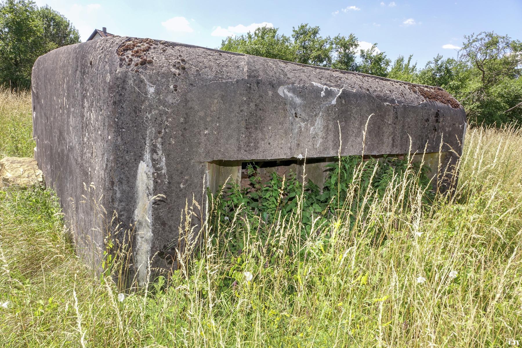 Ligne Maginot - M61B - NACHTWEIDE - (Blockhaus pour arme infanterie) -  - Lia VERMEULEN
