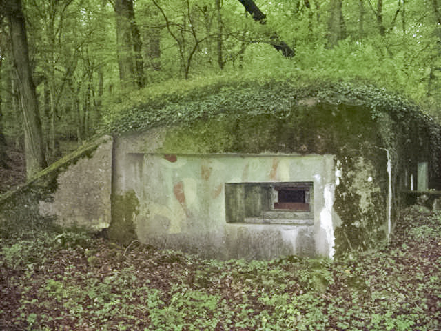 Ligne Maginot - M65B - BOIS DE BRILL 1 - (Blockhaus pour arme infanterie) - Il reste du peinture de camouflage - BERTHIER jean