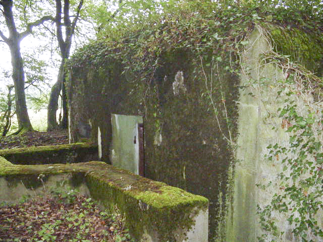 Ligne Maginot - M65B - BOIS DE BRILL 1 - (Blockhaus pour arme infanterie) - L'entrée - BERTHIER jean