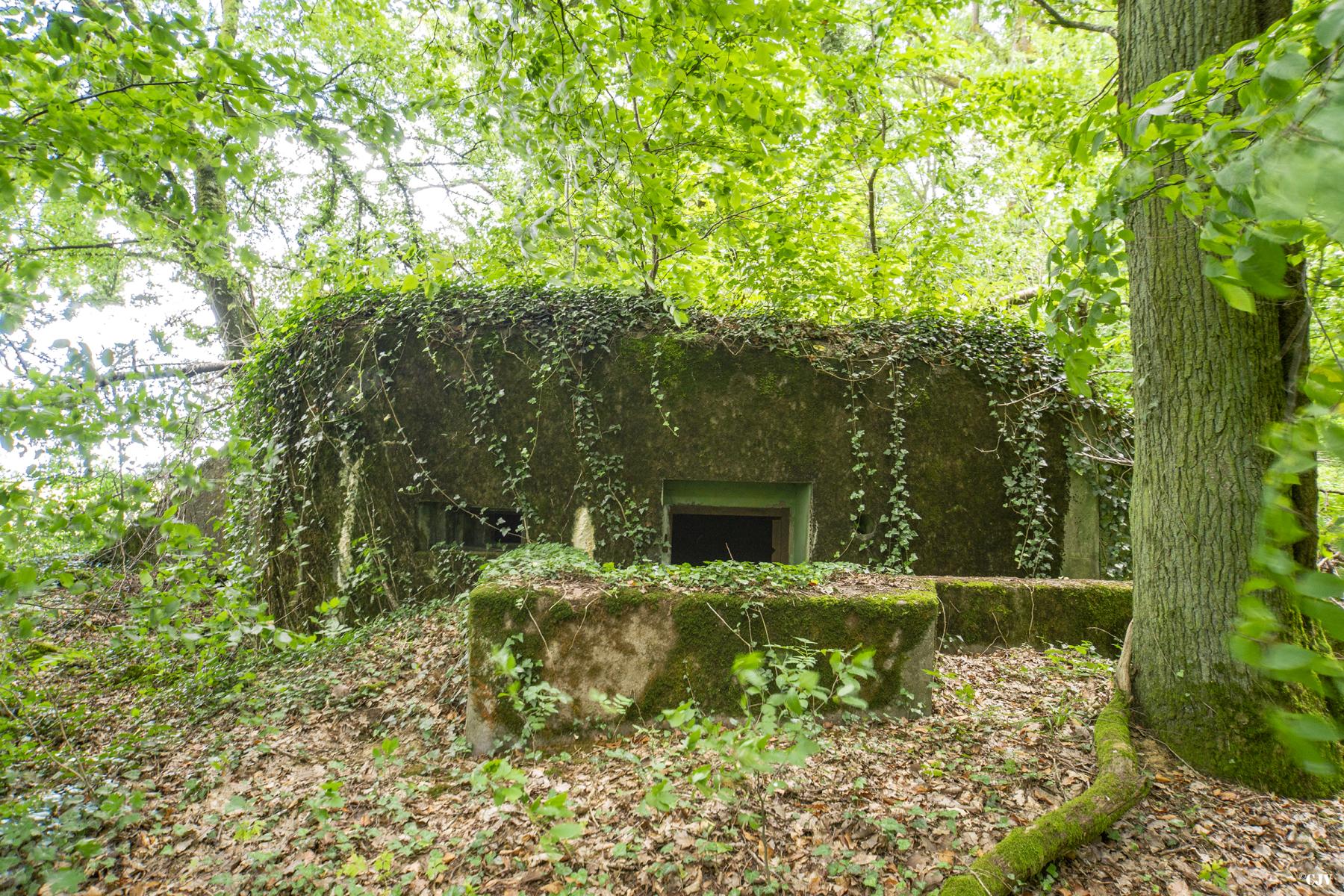 Ligne Maginot - M65B - BOIS DE BRILL 1 - (Blockhaus pour arme infanterie) - L'entrée                    - Lia VERMEULEN