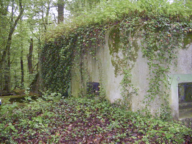 Ligne Maginot - M67B - BOIS DE BRILL 2 - (Blockhaus pour arme infanterie) - Vue générale - BERTHIER jean